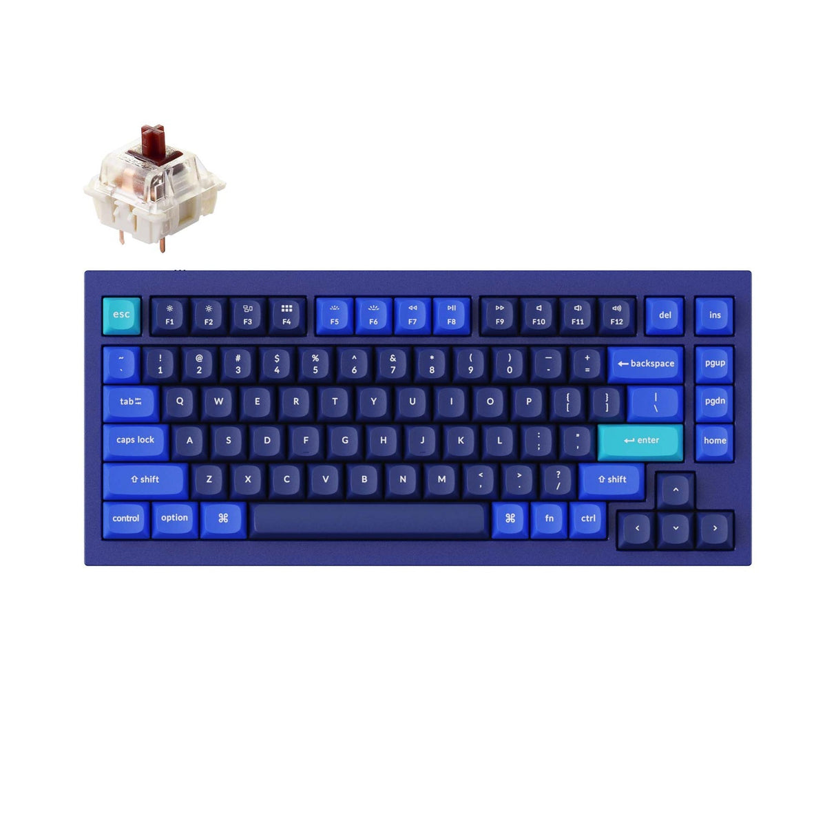 Tastiera meccanica personalizzata Keychron Q1 QMK (layout ANSI USA) - Versione 2