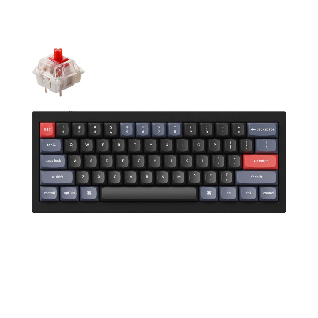 Tastiera meccanica personalizzata Keychron Q4 QMK (layout ANSI USA)