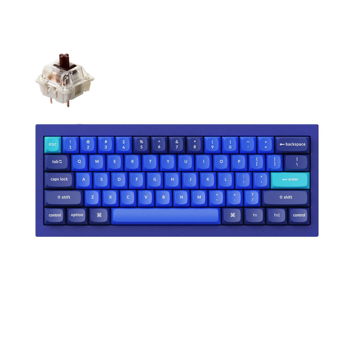 Tastiera meccanica personalizzata Keychron Q4 QMK (layout ANSI USA)