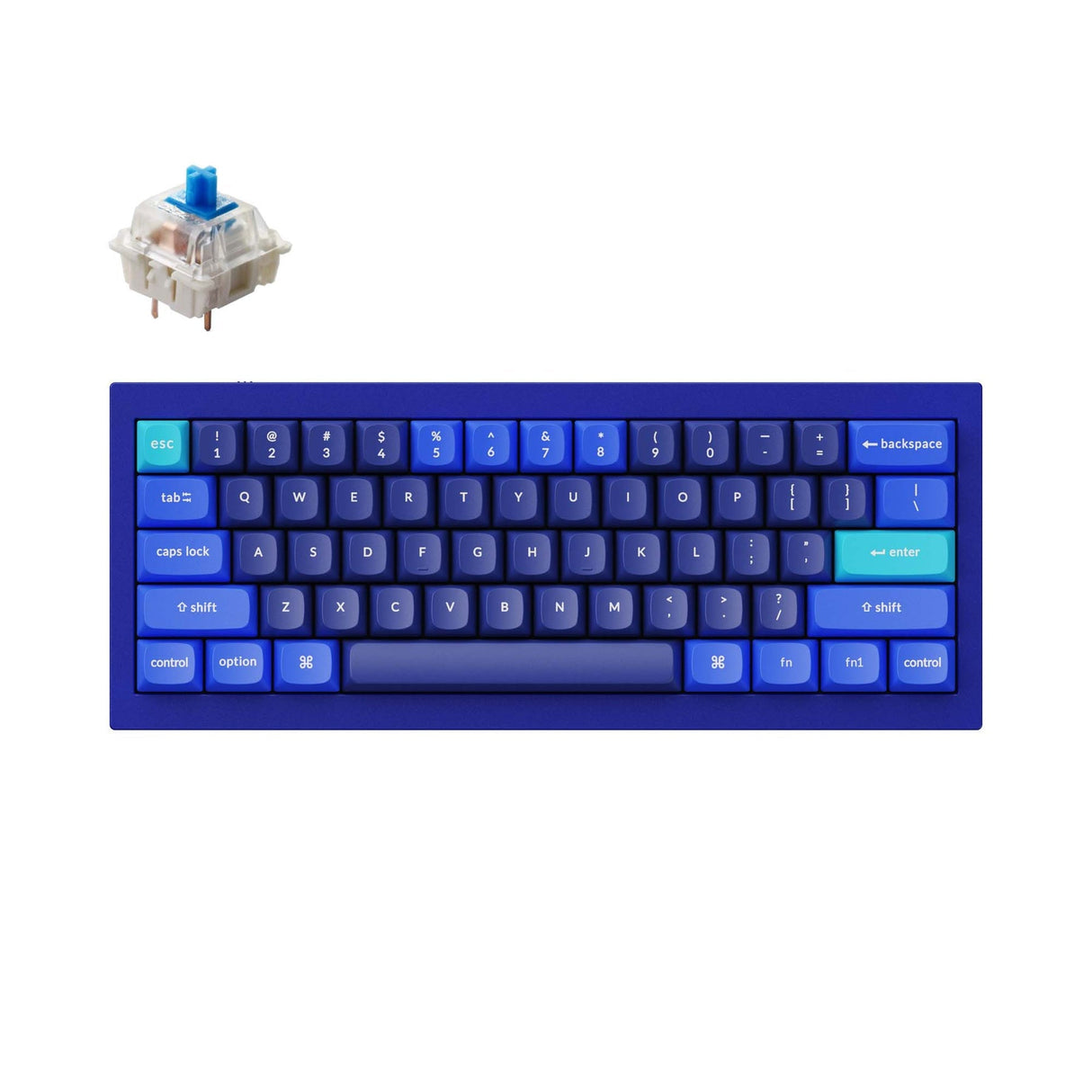 Tastiera meccanica personalizzata Keychron Q4 QMK (layout ANSI USA)