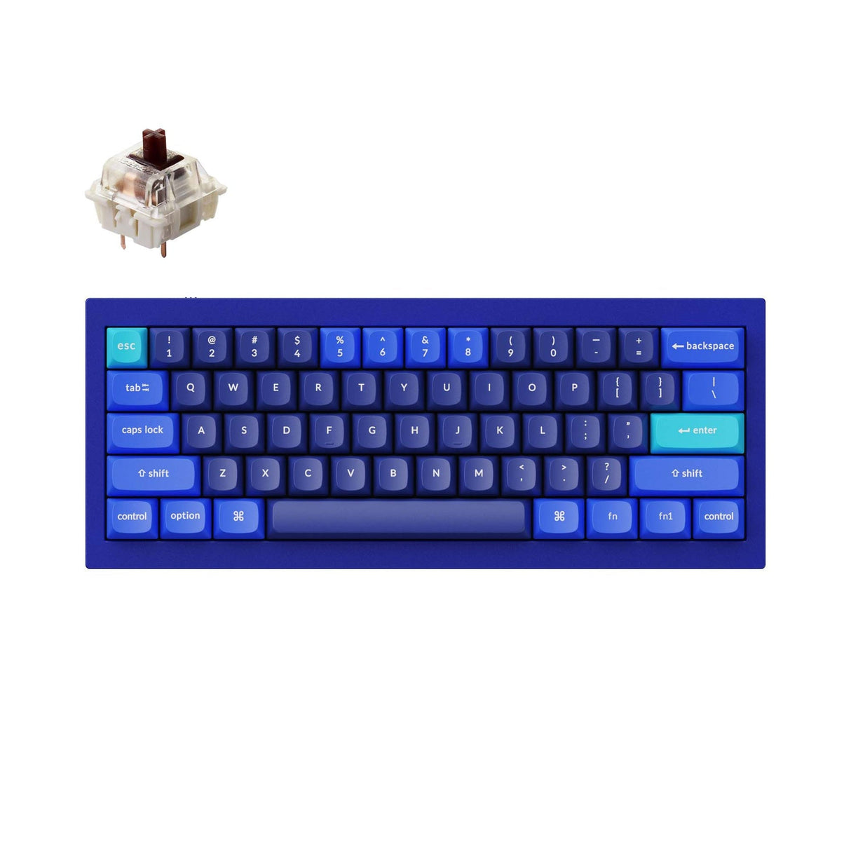 Tastiera meccanica personalizzata Keychron Q4 QMK (layout ANSI USA)