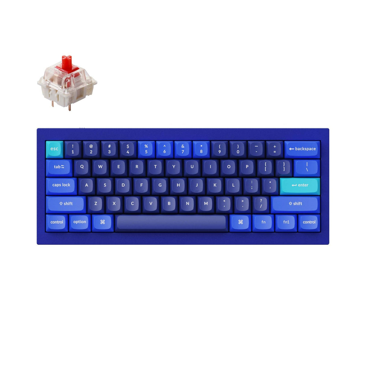 Tastiera meccanica personalizzata Keychron Q4 QMK (layout ANSI USA)