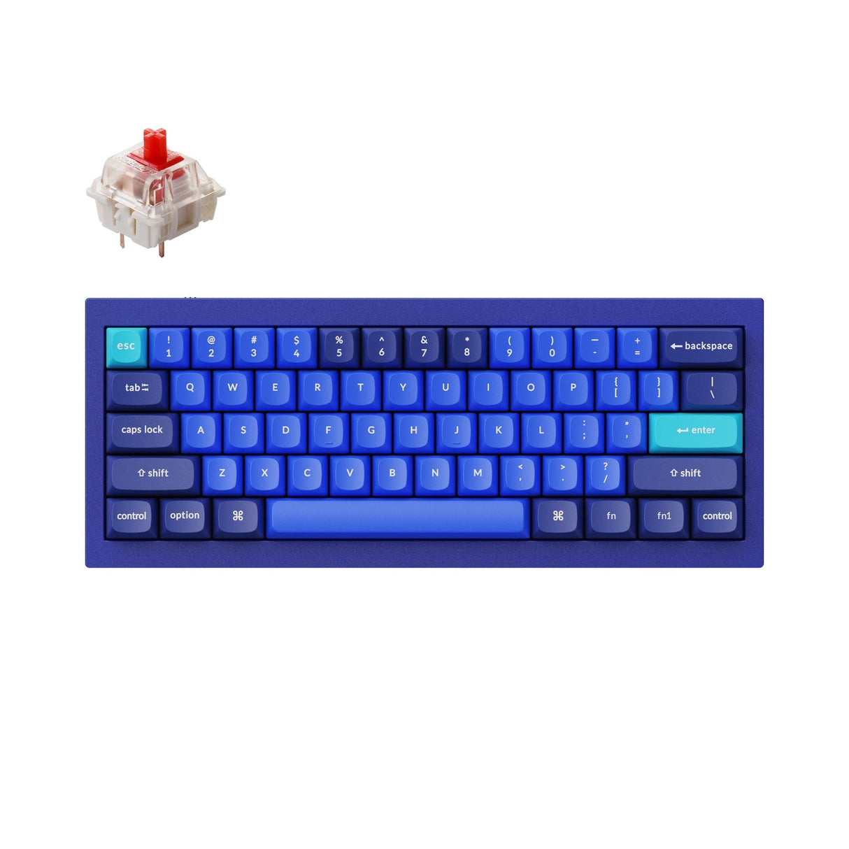 Tastiera meccanica personalizzata Keychron Q4 QMK (layout ANSI USA)