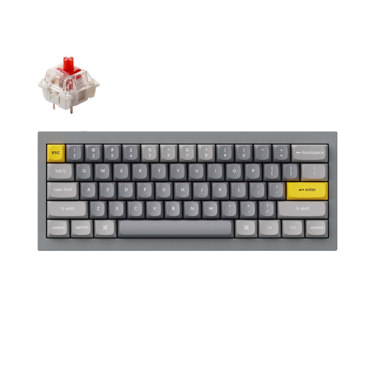 Tastiera meccanica personalizzata Keychron Q4 QMK (layout ANSI USA)