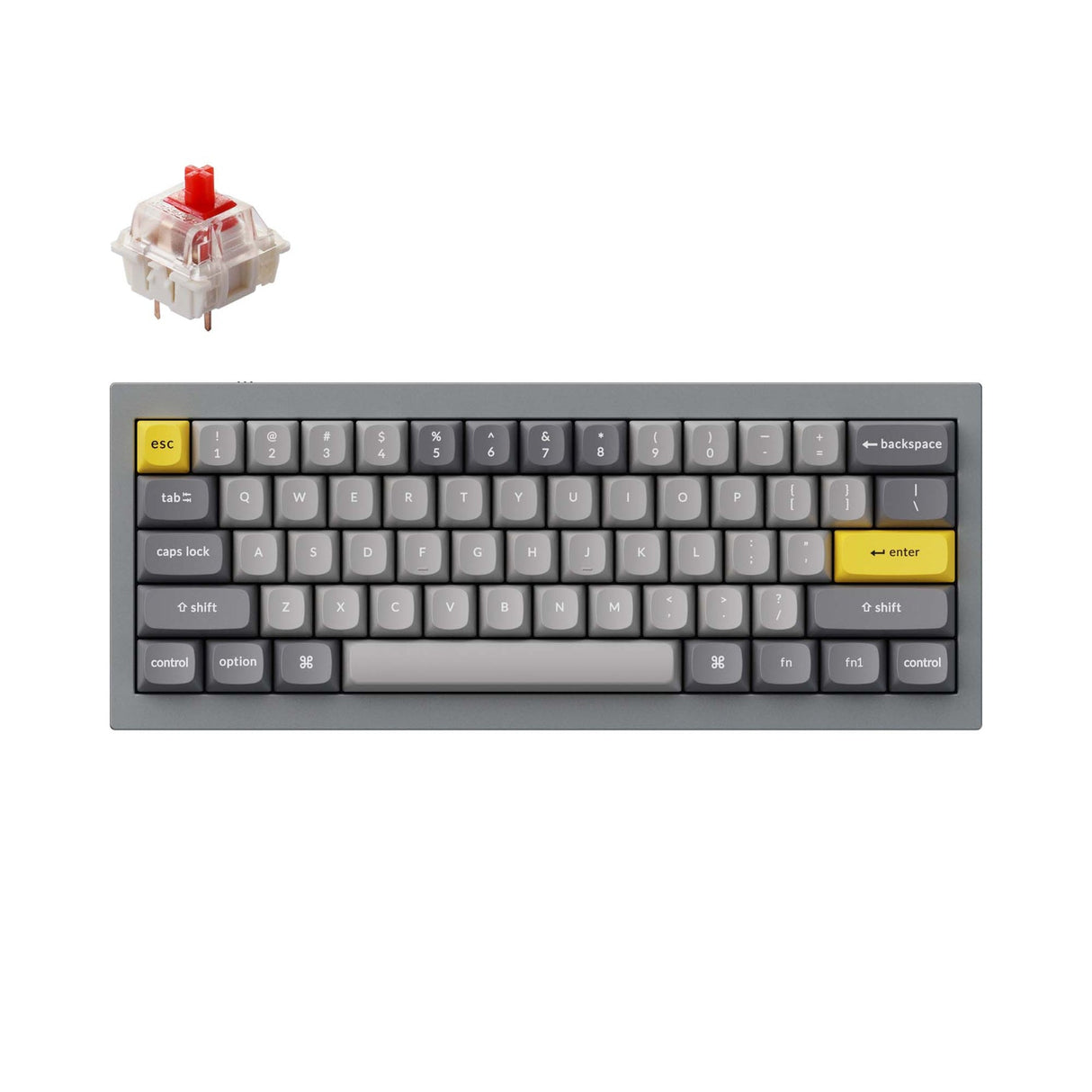 Tastiera meccanica personalizzata Keychron Q4 QMK (layout ANSI USA)
