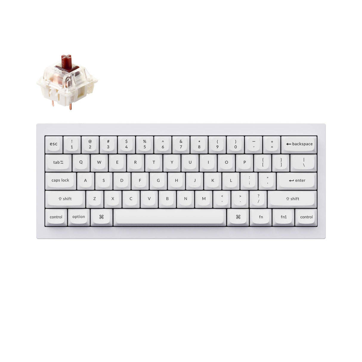 Tastiera meccanica personalizzata Keychron Q4 QMK (layout ANSI USA)