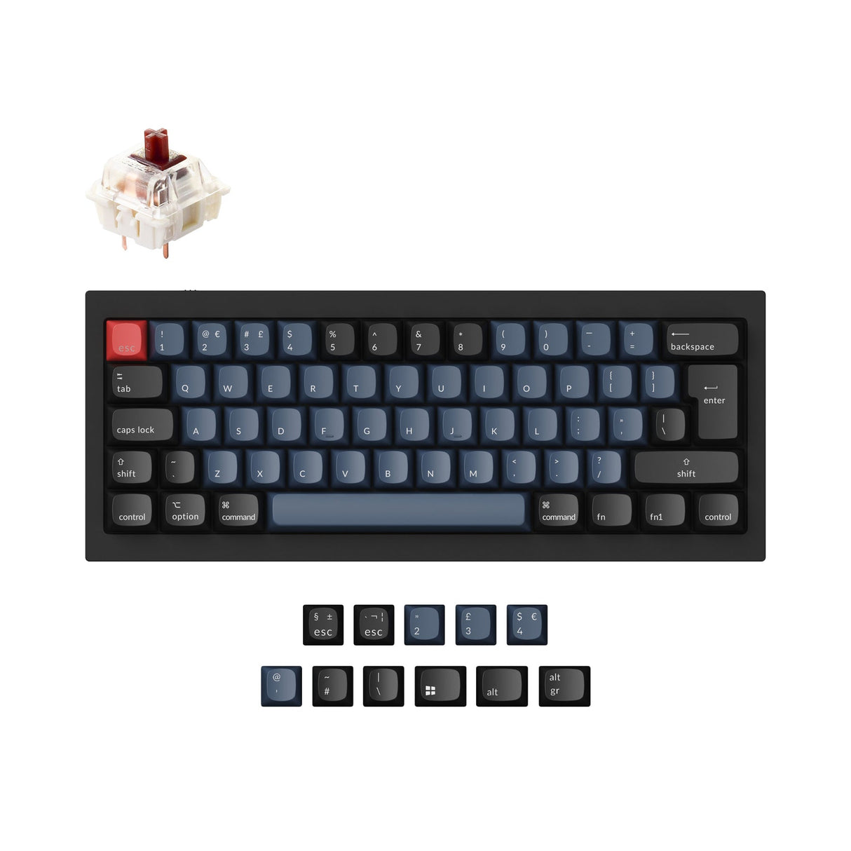 Keychron Q4 QMK Personalizzato Tastiera meccanica ISO Layout Collection