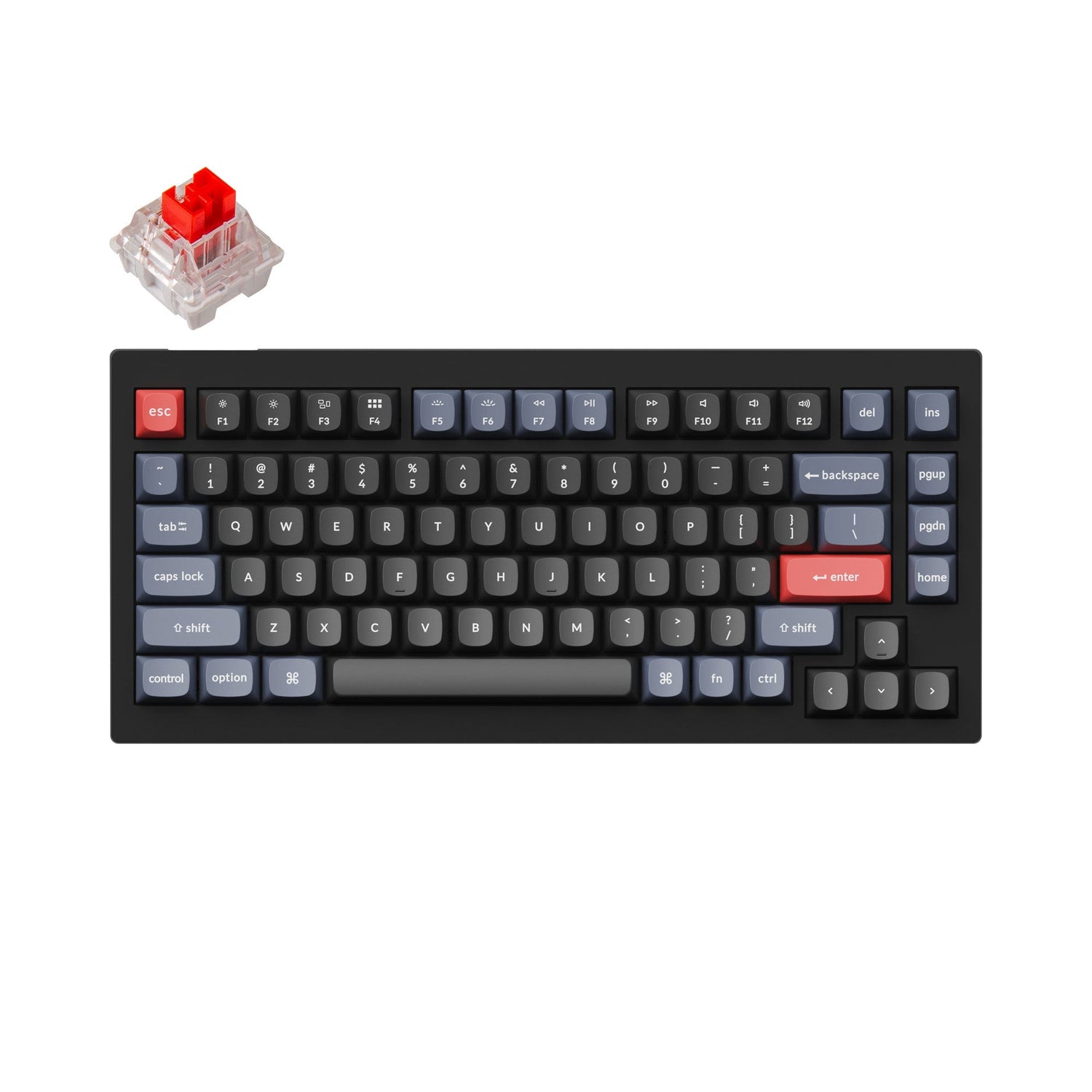 Tastiera meccanica personalizzata Keychron V1 QMK (layout ANSI USA)