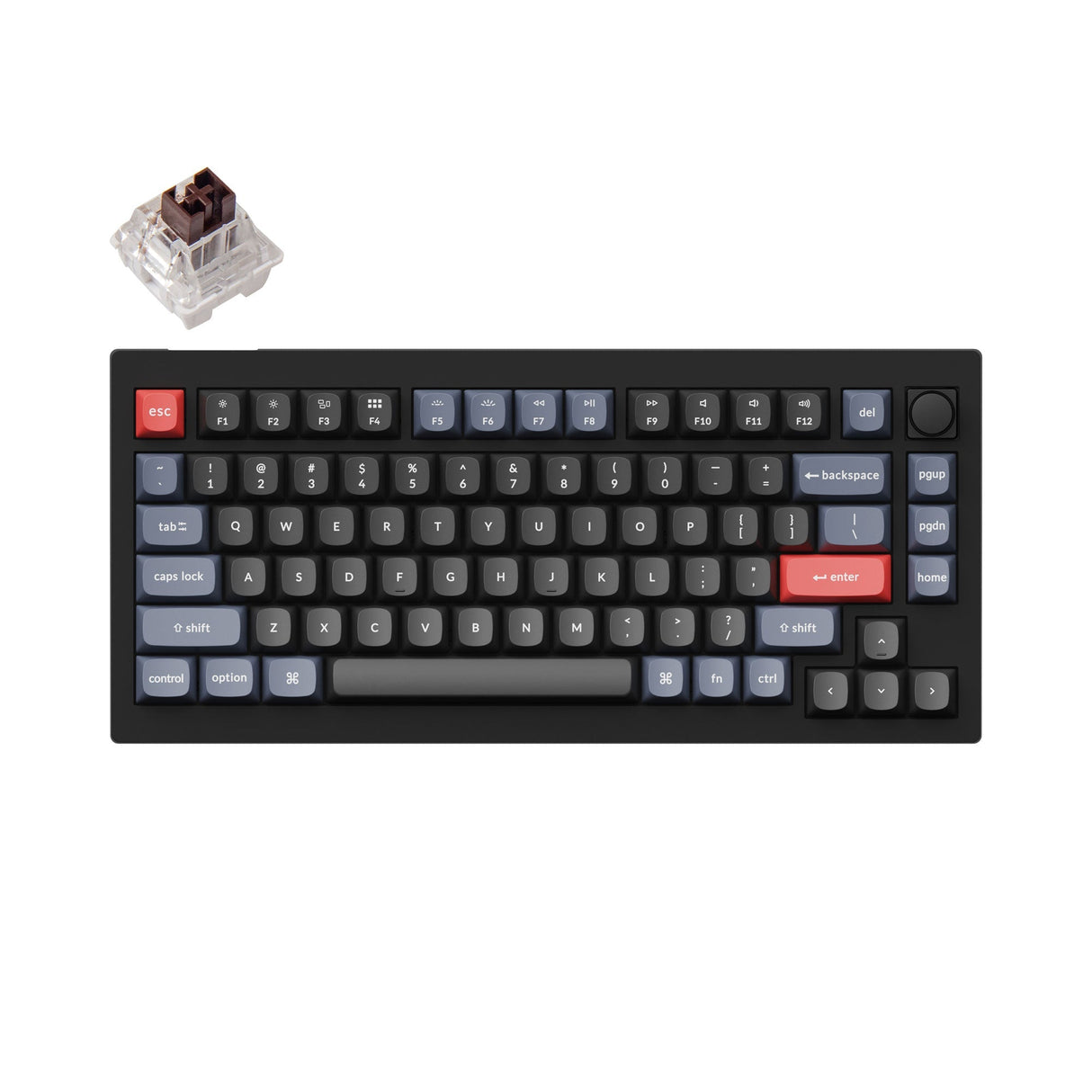 Tastiera meccanica personalizzata Keychron V1 QMK (layout ANSI USA)