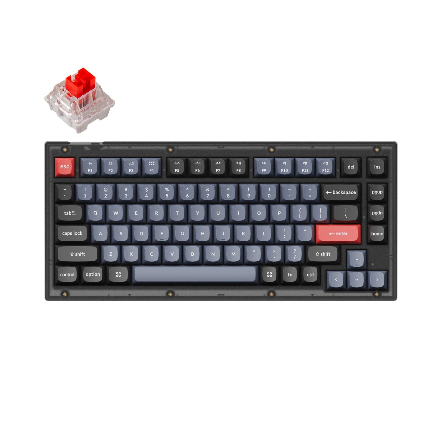 Tastiera meccanica personalizzata Keychron V1 QMK (layout ANSI USA)