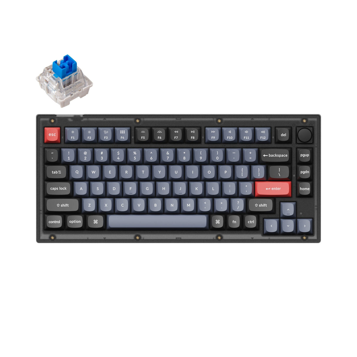 Tastiera meccanica personalizzata Keychron V1 QMK (layout ANSI USA)