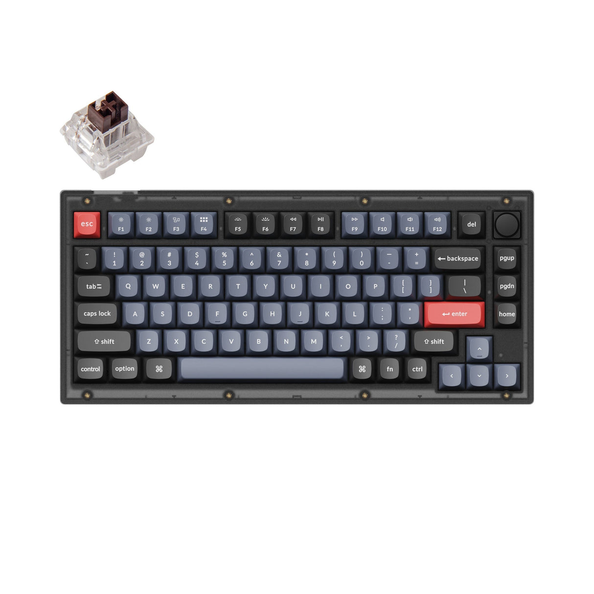 Tastiera meccanica personalizzata Keychron V1 QMK (layout ANSI USA)