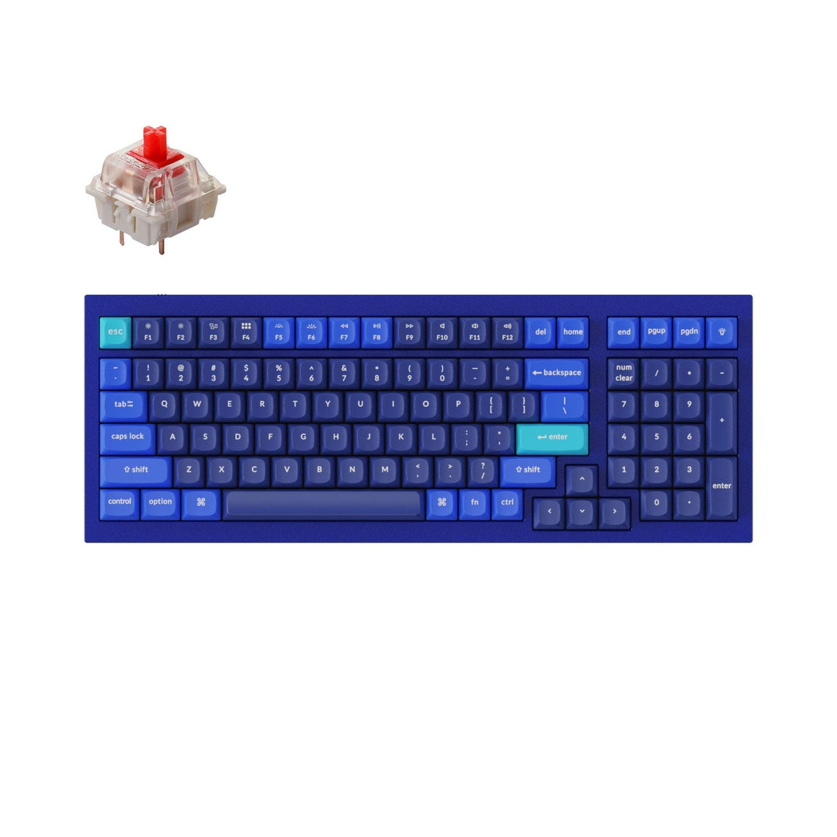 Tastiera meccanica personalizzata Keychron Q5 QMK (layout ANSI USA)