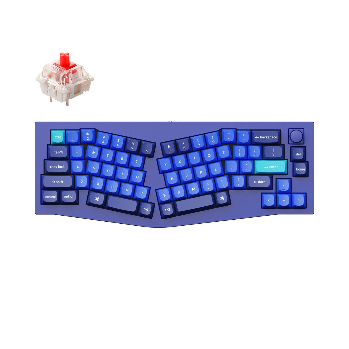 Tastiera meccanica personalizzata QMK Keychron Q8 (layout Alice) (layout ANSI USA)