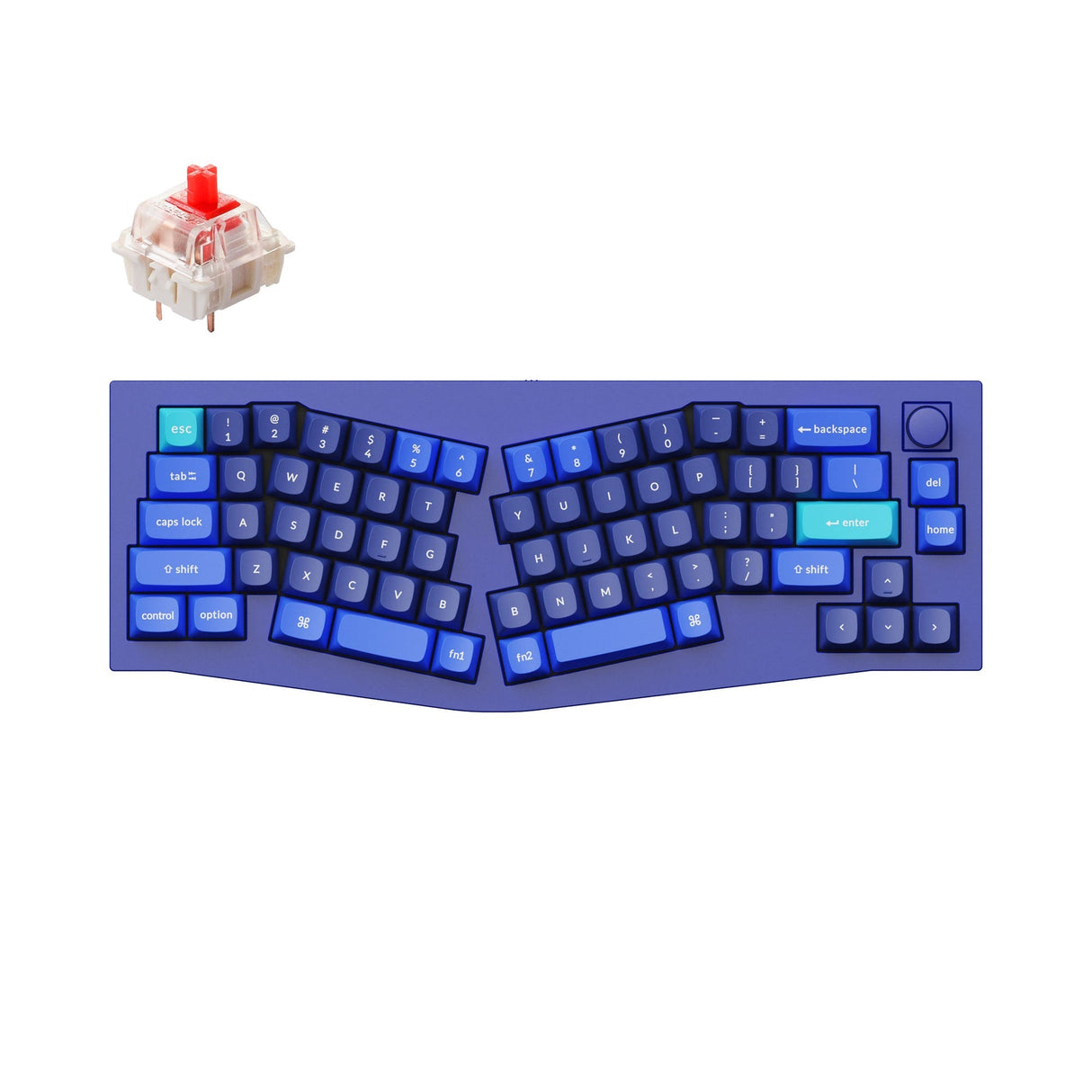 Tastiera meccanica personalizzata QMK Keychron Q8 (layout Alice) (layout ANSI USA)
