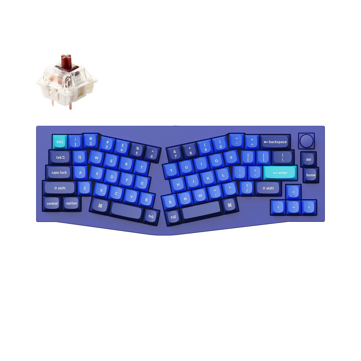 Tastiera meccanica personalizzata QMK Keychron Q8 (layout Alice) (layout ANSI USA)