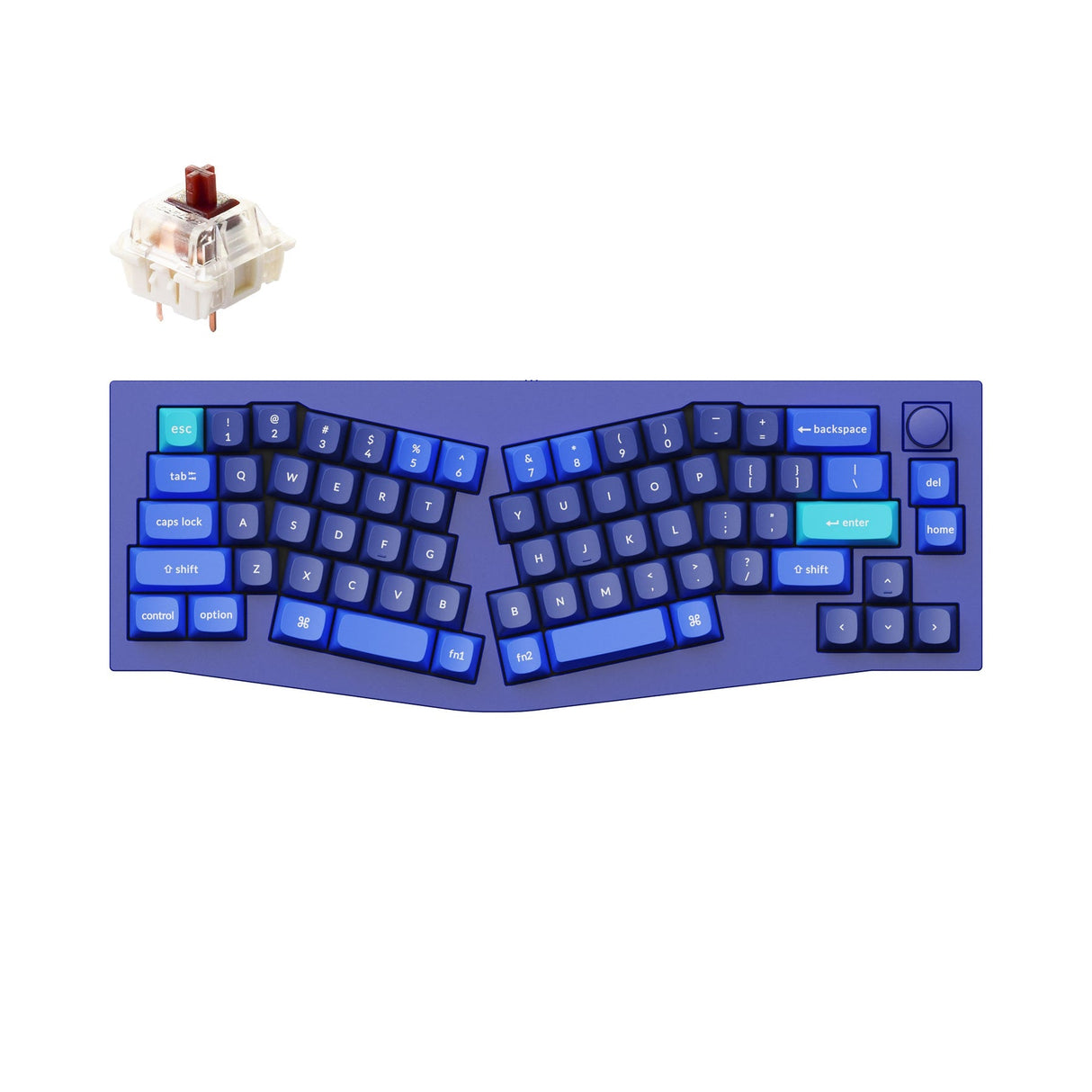 Tastiera meccanica personalizzata QMK Keychron Q8 (layout Alice) (layout ANSI USA)