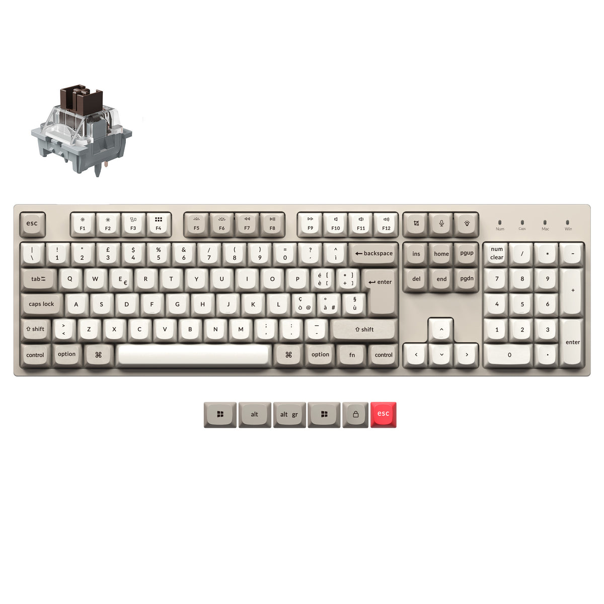 Tastiera meccanica personalizzata Keychron C2 Pro 8K QMK cablata, collezione con layout ISO