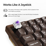 Keychron K2 HE Wireless Magnetic Switch Custom Keyboard-All-Wood Special Edition