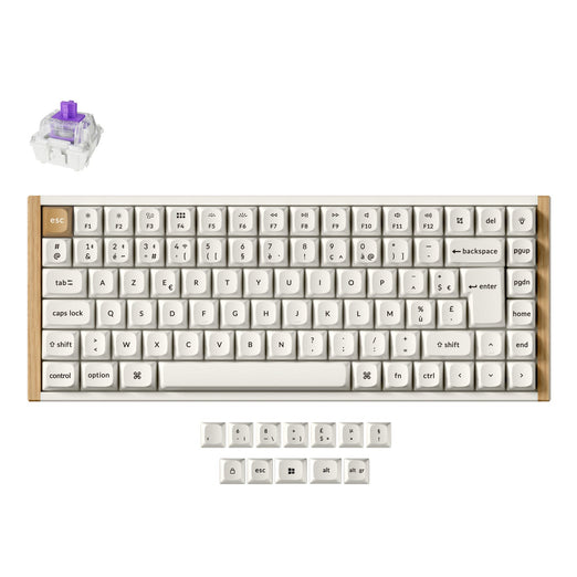 Tastiera personalizzata wireless Keychron K2 HE con switch magnetici, collezione con layout ISO