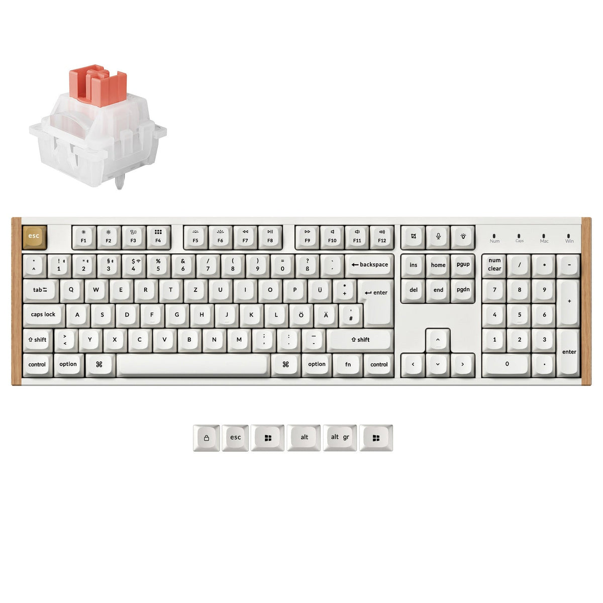 Tastiera personalizzata wireless Keychron K10 HE con switch magnetici, collezione con layout ISO