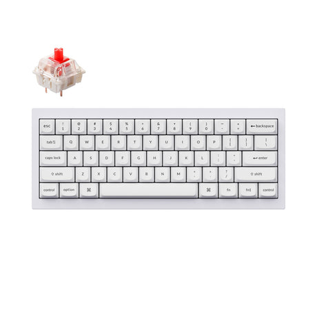 Keychron Q4 QMK Custom Mechanical Keyboard (US ANSI Layout)
